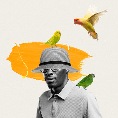 What Does Conditioner Do?